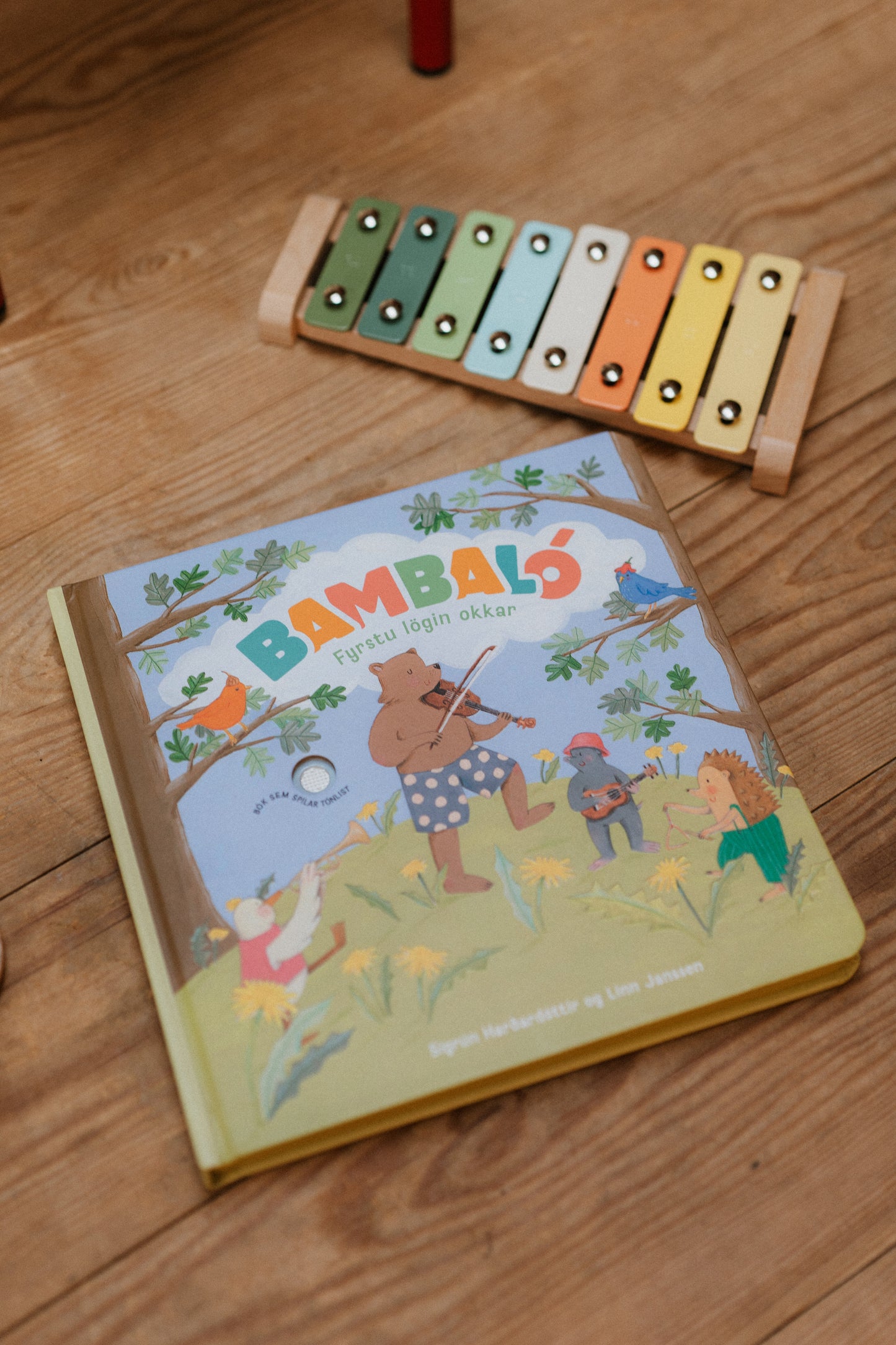 Forsölutilboð - Bambaló: Fyrstu lögin okkar
