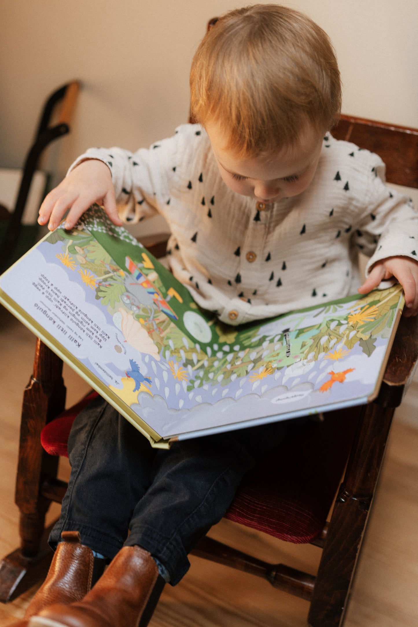 Forsölutilboð - Bambaló: Fyrstu lögin okkar