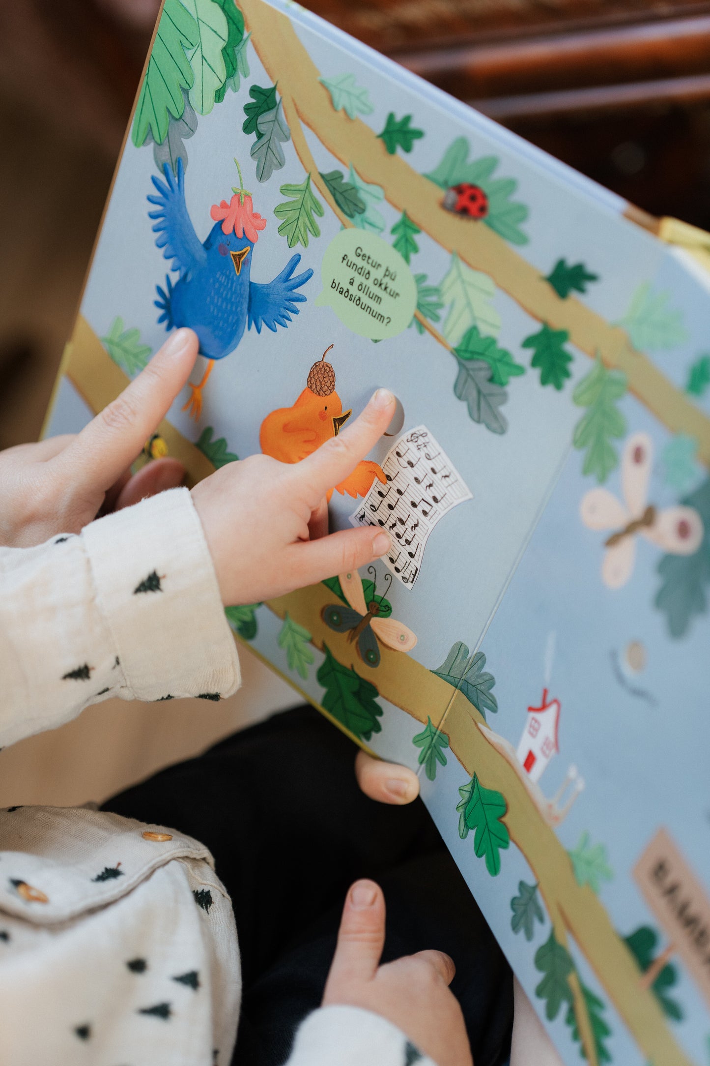 Forsölutilboð - Bambaló: Fyrstu lögin okkar